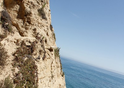 california-beach-photography-roscoe-studio