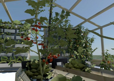 tomatoes in 3d